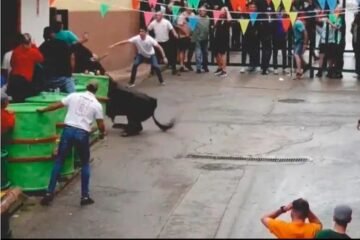 Muere el ganadero Santiago Barrero San Román corneado por un toro en Beas de Segura (Jaén)