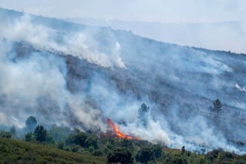 El incendio de La Mierla, en la sierra de Guadalajara, salta a Castilla y León y obliga a desalojar un municipio soriano