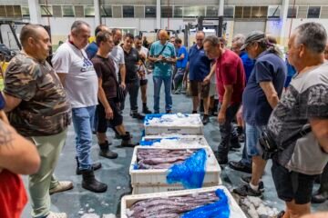 Así es la actividad en la lonja de Cádiz, un negocio millonario que se queda sin herederos