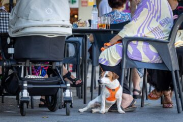 Cádiz abre sus puertas a las mascotas